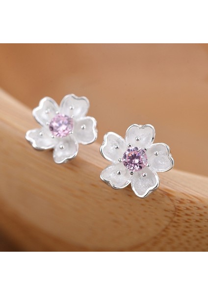 Pembe Tarzı Yeni Kadın Bayan Küpe Zarif Gümüş Küpe Küpe 3 Renk - Çift (Yurt Dışından) modelleri