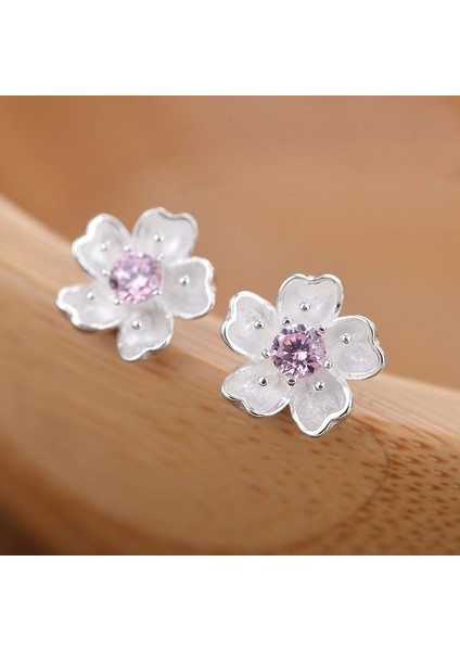 Pembe Tarzı Yeni Kadın Bayan Küpe Zarif Gümüş Küpe Küpe 3 Renk - Çift (Yurt Dışından) fırsatları