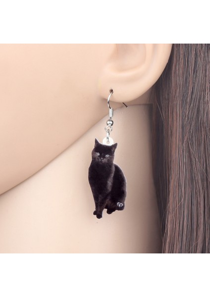 Gri Tarzı Kadın Kızlar Gençler Için Akrilik Zarif Siyah Kedi Küpe Dangle Takı Evcil Hayvan Süsler Süsler Şık Parti Aksesuarları Şık Hediye Trend (Yurt Dışından) fırsatları