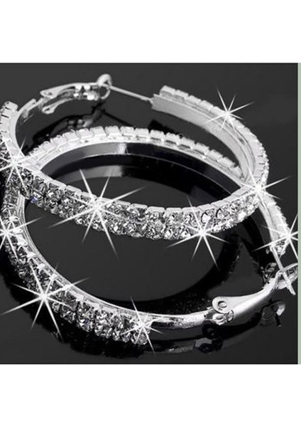 Gümüş Tarzı Yenilik Fad Gümüş Kaplama 2 Sıra Kübik Zirkonya Kadın Küpe (Yurt Dışından) fiyatları