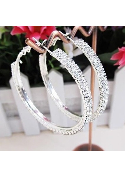 Gümüş Tarzı Yenilik Fad Gümüş Kaplama 2 Sıra Kübik Zirkonya Kadın Küpe (Yurt Dışından) modelleri