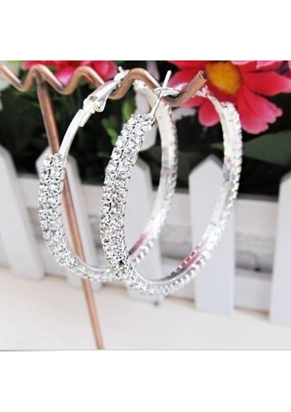 Gümüş Tarzı Yenilik Fad Gümüş Kaplama 2 Sıra Kübik Zirkonya Kadın Küpe (Yurt Dışından) fırsatları