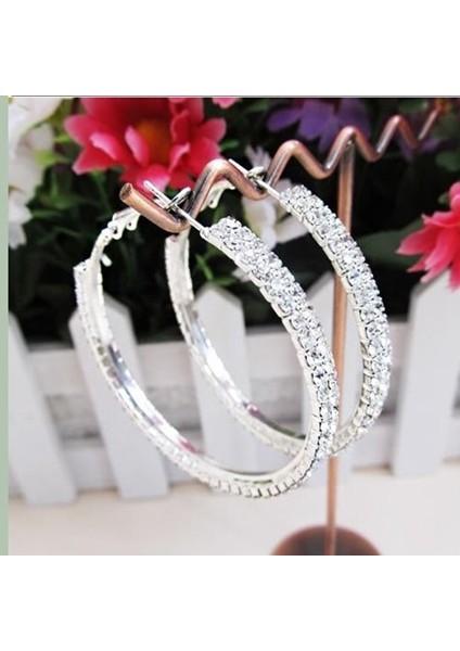 Gümüş Tarzı Yenilik Fad Gümüş Kaplama 2 Sıra Kübik Zirkonya Kadın Küpe (Yurt Dışından) indirimleri