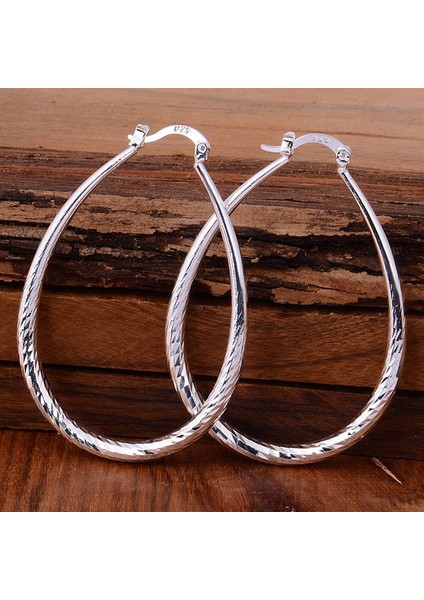 Altın Tarzı Yeni Wometerling Gümüş Moda Halka Sallantılı Küpe Küpe Takı N-279 (Yurt Dışından) fiyatları