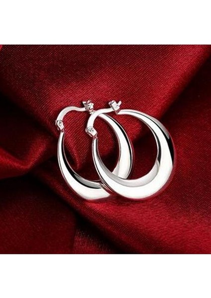 925 Ayar Gümüş Moda Takı Kadın Küpe Kadın Halka Küpe W45 (Yurt Dışından) modelleri
