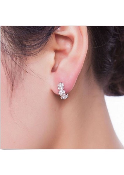 Mor Tarzı Sıcak Moda Takı Beyaz Topaz Taşlı Gümüş Halka Küpe (Yurt Dışından) fırsatları