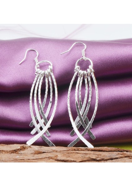 Yeni Gelen Kadın Moda Takı Gümüş Sallantılı Zincir Küpe (Yurt Dışından) fiyatları