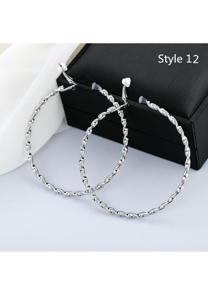 Stil 12 Küpe Deliği Olmayan Kıyafet Klipsli Küpe Deliksiz (Yurt Dışından)