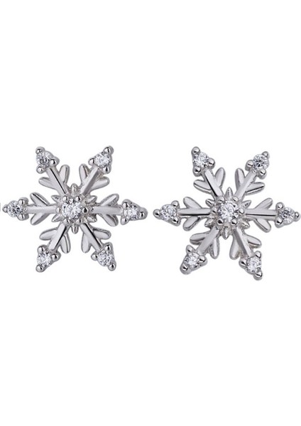 Gümüş Tarzı Kadınlar Için Zarif Gümüş Kar Tanesi Beyaz Topaz Elmas Küpe Küpe Düğün Nişan Kokteyl Parti Takı Hediye (Yurt Dışından) modelleri