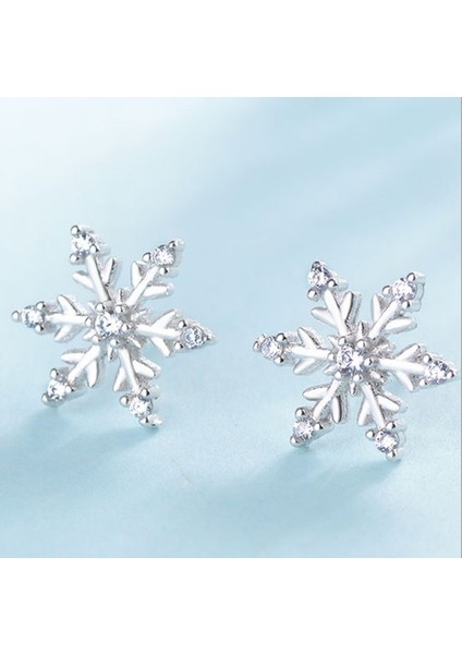 Gümüş Tarzı Kadınlar Için Zarif Gümüş Kar Tanesi Beyaz Topaz Elmas Küpe Küpe Düğün Nişan Kokteyl Parti Takı Hediye (Yurt Dışından) fırsatları