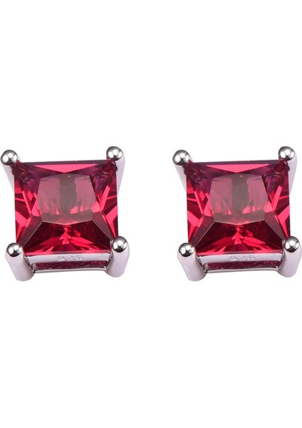 Ruby Gümüş Yüksek Değerli Taş Küpe PE42 (Yurt Dışından) fiyatları
