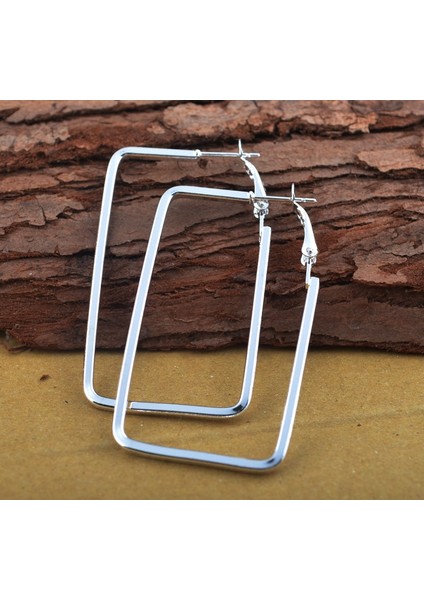 Yeni Wometerling Gümüş Moda Halka Sallantılı Küpe Küpe Takı (Yurt Dışından)