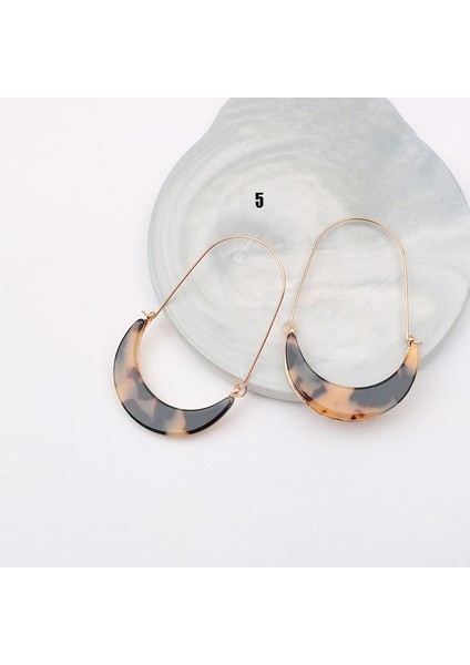 No.5 Boyutu Kadın Küpe Alaşım Hilal Akrilik Leopar Tabaka Vintage Tarzı Küpeler Büyük Kulak Kanca Bayan Küpeler (Yurt Dışından)