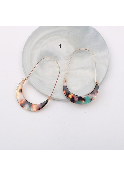 No.5 Boyutu Kadın Küpe Alaşım Hilal Akrilik Leopar Tabaka Vintage Tarzı Küpeler Büyük Kulak Kanca Bayan Küpeler (Yurt Dışından) fiyatları