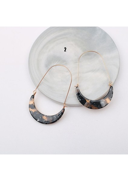 No.5 Boyutu Kadın Küpe Alaşım Hilal Akrilik Leopar Tabaka Vintage Tarzı Küpeler Büyük Kulak Kanca Bayan Küpeler (Yurt Dışından) fırsatları