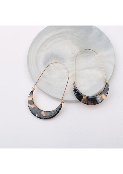 No.5 Boyutu Kadın Küpe Alaşım Hilal Akrilik Leopar Tabaka Vintage Tarzı Küpeler Büyük Kulak Kanca Bayan Küpeler (Yurt Dışından) indirimleri