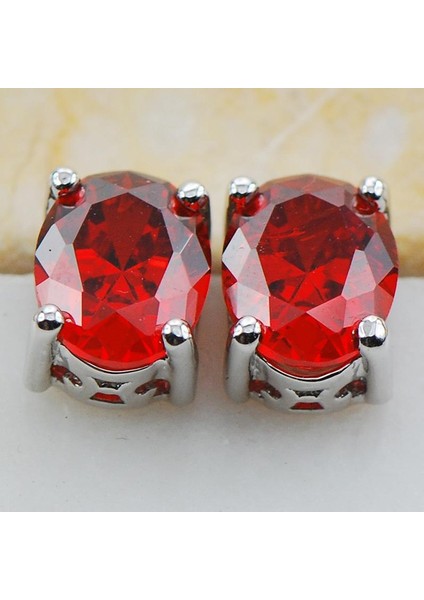 Garnet Gümüş Taşlı Küpe PE01 (Yurt Dışından) fiyatları