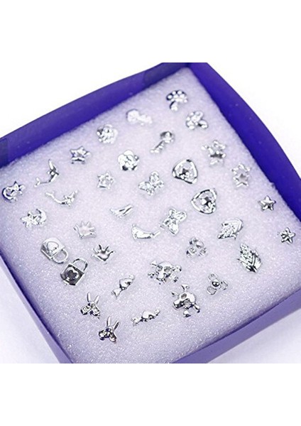 Tip2-5mm 18 Çift Karışık Stiller Gümüş Küpe Platin Takı (Yurt Dışından)