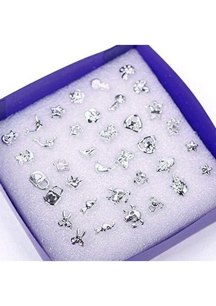 Tip2-5mm 18 Çift Karışık Stiller Gümüş Küpe Platin Takı (Yurt Dışından) fiyatları