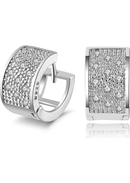 Moda Kadın Kristal Gümüş Küpe Halka Küpe Takı Hediye (Yurt Dışından) modelleri