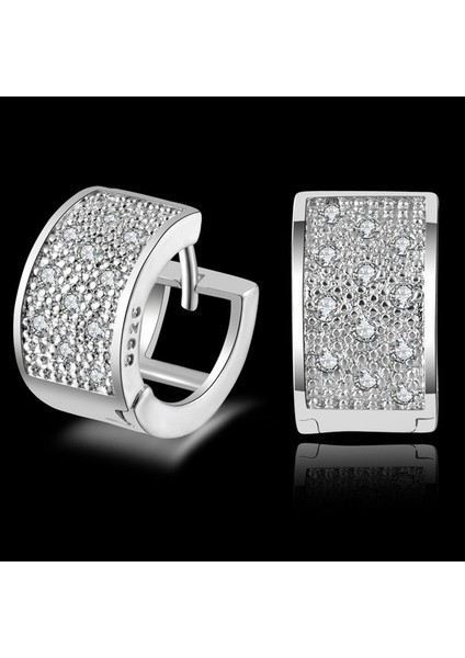 Moda Kadın Kristal Gümüş Küpe Halka Küpe Takı Hediye (Yurt Dışından) fırsatları