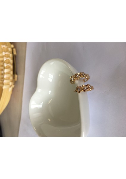 Altın Tarzı Sıcak Moda Takı Beyaz Topaz Taşlı Gümüş Halka Küpe (Yurt Dışından)