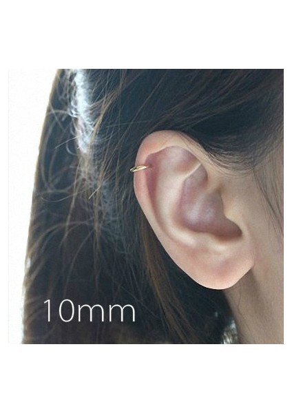 Gümüş Tarzı 10 mm 8mm Gümüş Küçük Rose Gold Halka Küpe Kıkırdak (Yurt Dışından) fırsatları