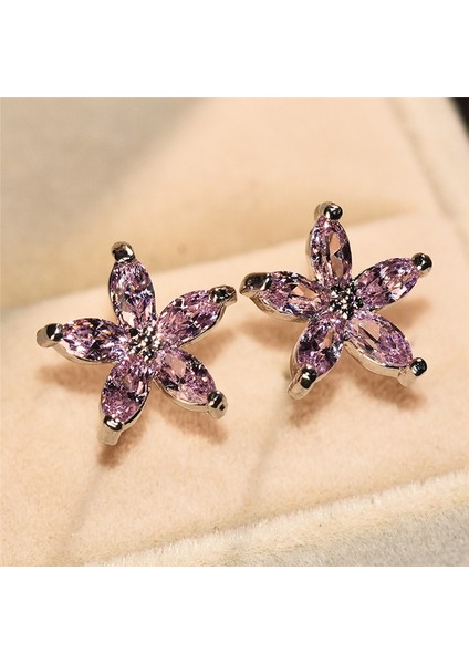 Pembe Tarzı Güzel Gümüş Beş Köşeli Yıldız Pembe Safir Taşlı Küpe Basit Pentagram Küpe Düğün Parti Takı Hediyesi (Yurt Dışından) fiyatları