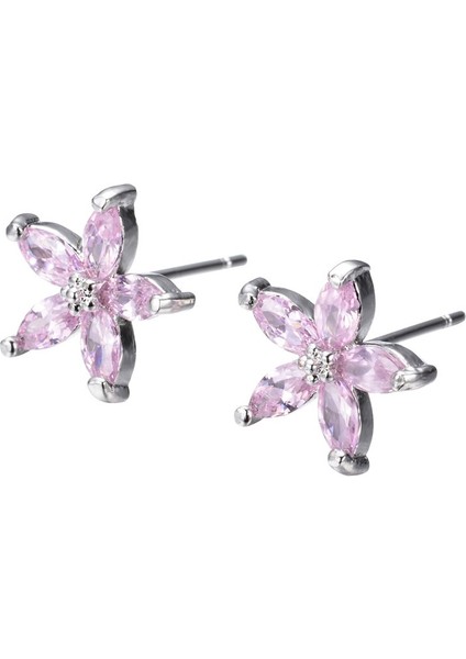 Pembe Tarzı Güzel Gümüş Beş Köşeli Yıldız Pembe Safir Taşlı Küpe Basit Pentagram Küpe Düğün Parti Takı Hediyesi (Yurt Dışından) indirimleri