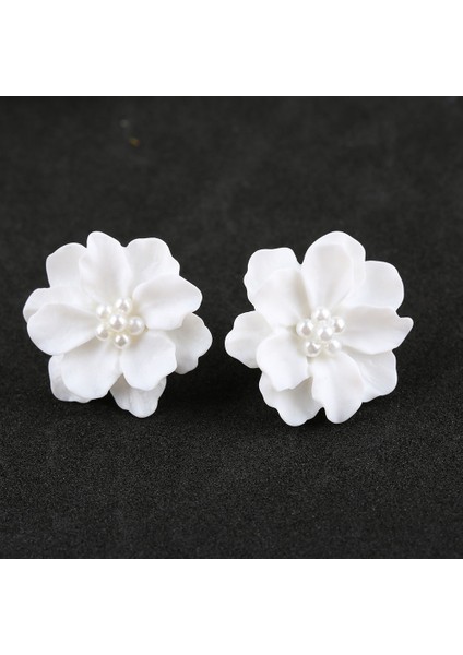 Kadınlar Için Yeni Moda Büyük Beyaz Çiçek Küpe Takı Zarif Hediye Küpe Takı Hediyesi (Yurt Dışından) indirimleri