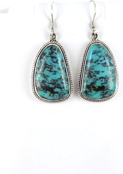 Gümüş Tarzı Kadın Takı Gümüş Turkuaz Taşlı Kanca Küpe Parti Hediyeleri (Yurt Dışından) fırsatları