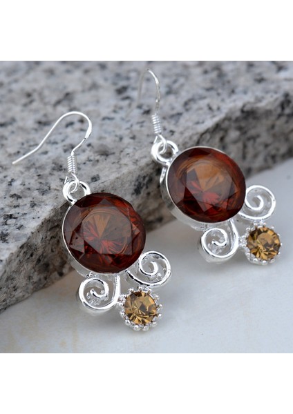 Kadın Moda Takı Gümüş Nar Eğrisi Küpe (Yurt Dışından) fiyatları