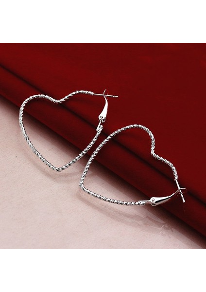 No.3 Boyutu 925 Gümüş Dikdörtgen Şekilli Sallantılı Küpe Stil Seçiniz (Yurt Dışından)