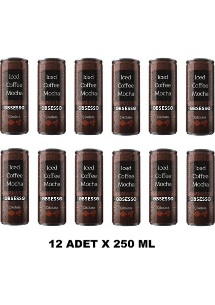 Çikolata Soğuk Kahve 250 ml x 12 Adet