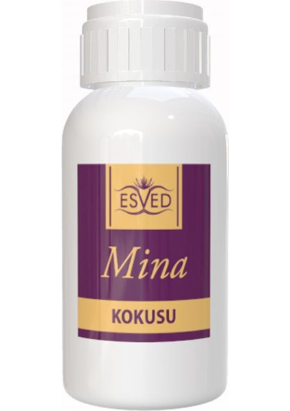 Mina Kokusu 100 ml Çubuklu Oda Kokusu Yedek Dolum Şişesi