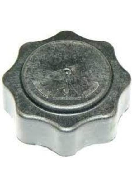 358510 Radyatör Kapağı 1.15 Bar Mini R50 R53 R51 19102P5TG00
