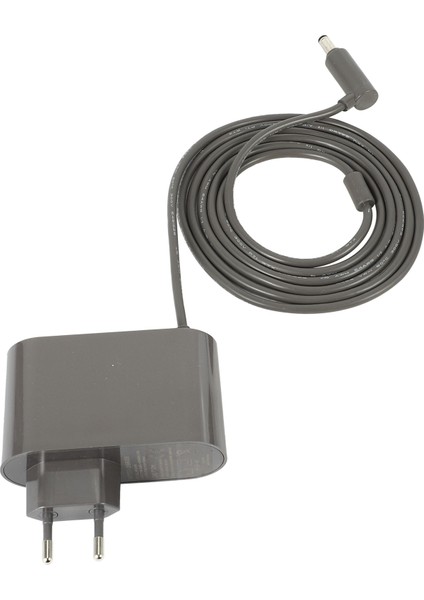 Adet Ab Fiş Şarj Adaptörü V6 V8 DC59 Elektrikli Süpürge Güç Şarj Cihazı Yedekleri (Yurt Dışından)