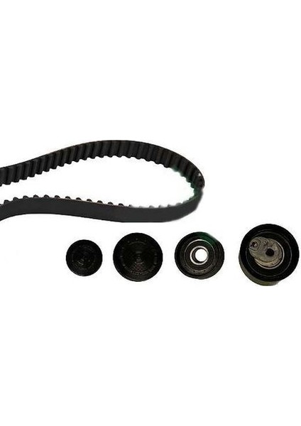 Renault-Mais- 130C13130R Eksantrik Rulman Kiti Triger Seti Megane Laguna Scenic 2.0 16V F4R 545019294R