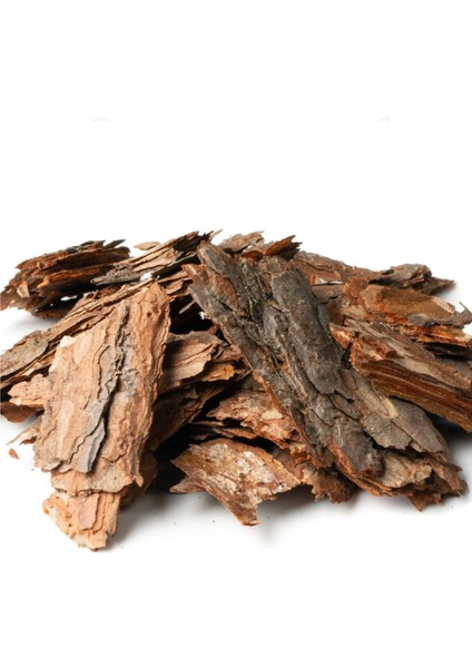 Söğüt Ağacı Kabuğu 100G