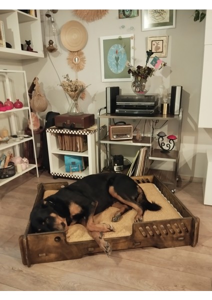 Bilbao Xxl Büyük Köpek Yatağı. 70*100 cm Şık Tasarım Rahat Minderi ile Beraber