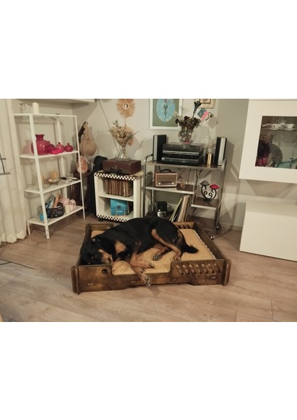 Bilbao Xxl Büyük Köpek Yatağı. 70*100 cm Şık Tasarım Rahat Minderi ile Beraber fiyatları