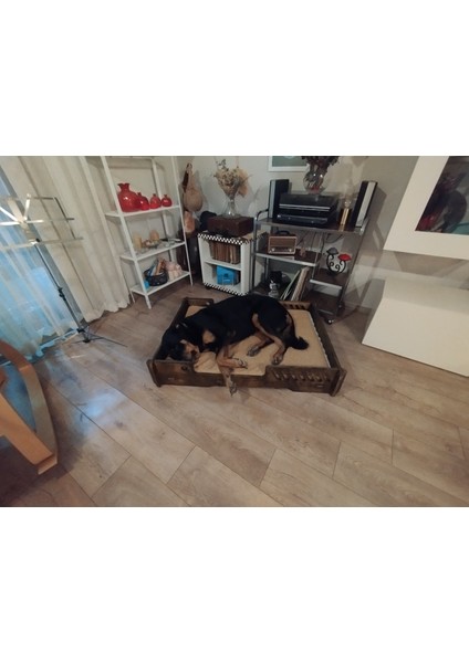 Bilbao Xxl Büyük Köpek Yatağı. 70*100 cm Şık Tasarım Rahat Minderi ile Beraber modelleri