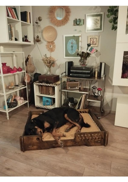 Bilbao Xxl Büyük Köpek Yatağı. 70*100 cm Şık Tasarım Rahat Minderi ile Beraber fırsatları