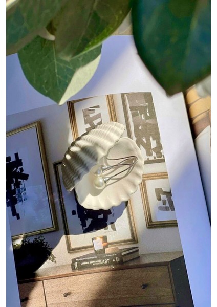 Mini Dekoratif Istiridye Kabuğu