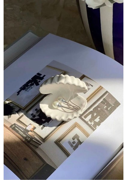 Mini Dekoratif Istiridye Kabuğu modelleri