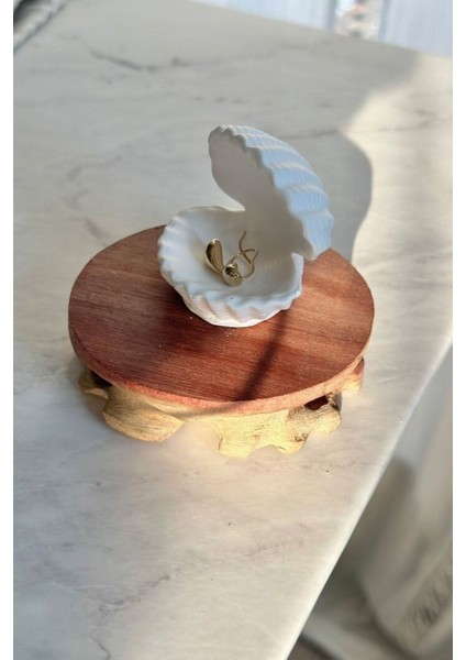 Mini Dekoratif Istiridye Kabuğu indirimleri