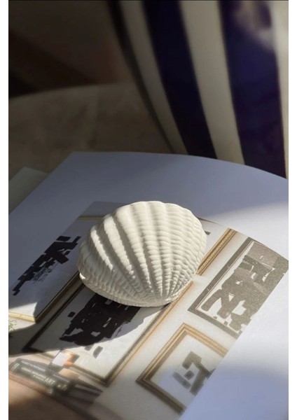 Özel Gün 25’li Istiridye Dekoratif Takı Kutusu fiyatları