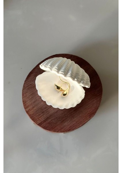 Özel Gün 25’li Istiridye Dekoratif Takı Kutusu indirimleri