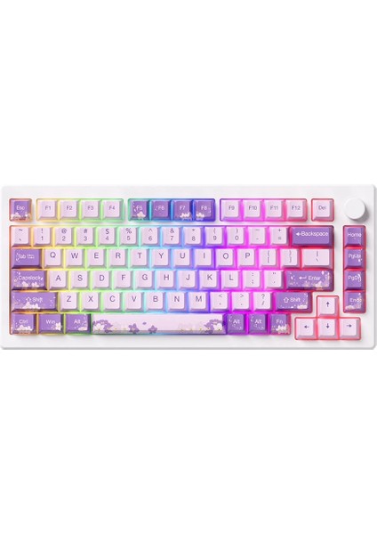 MOD 007 HE PC Purple Melody Hall Effect Manyetik Switch RGB Hotswap Mekanik Gaming Klavye