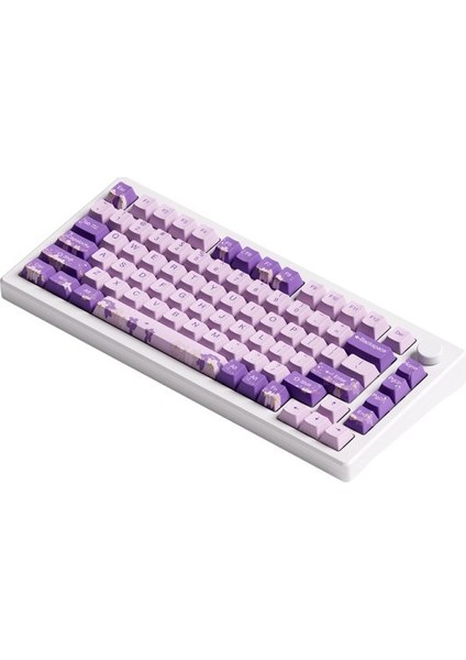 MOD 007 HE PC Purple Melody Hall Effect Manyetik Switch RGB Hotswap Mekanik Gaming Klavye